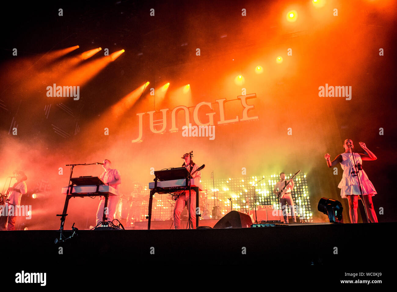 Biddinghuizen, Niederlande, 16. August 2019 Jungle Live at Lowlands Festival 2019 © Roberto Finizio / alamy Stockfoto