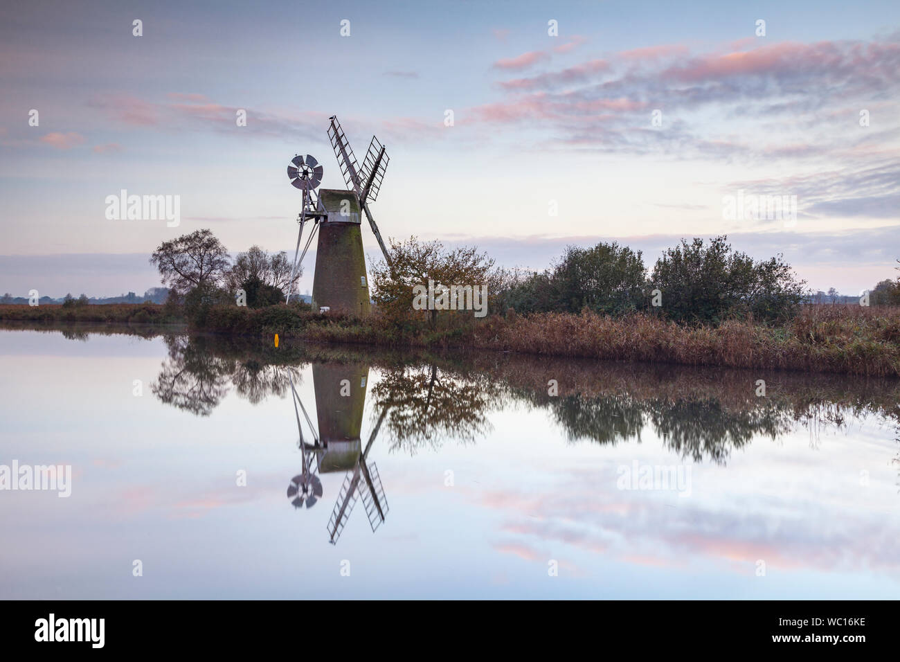 Rasen Fen Mühle windpump in den Broads. Stockfoto