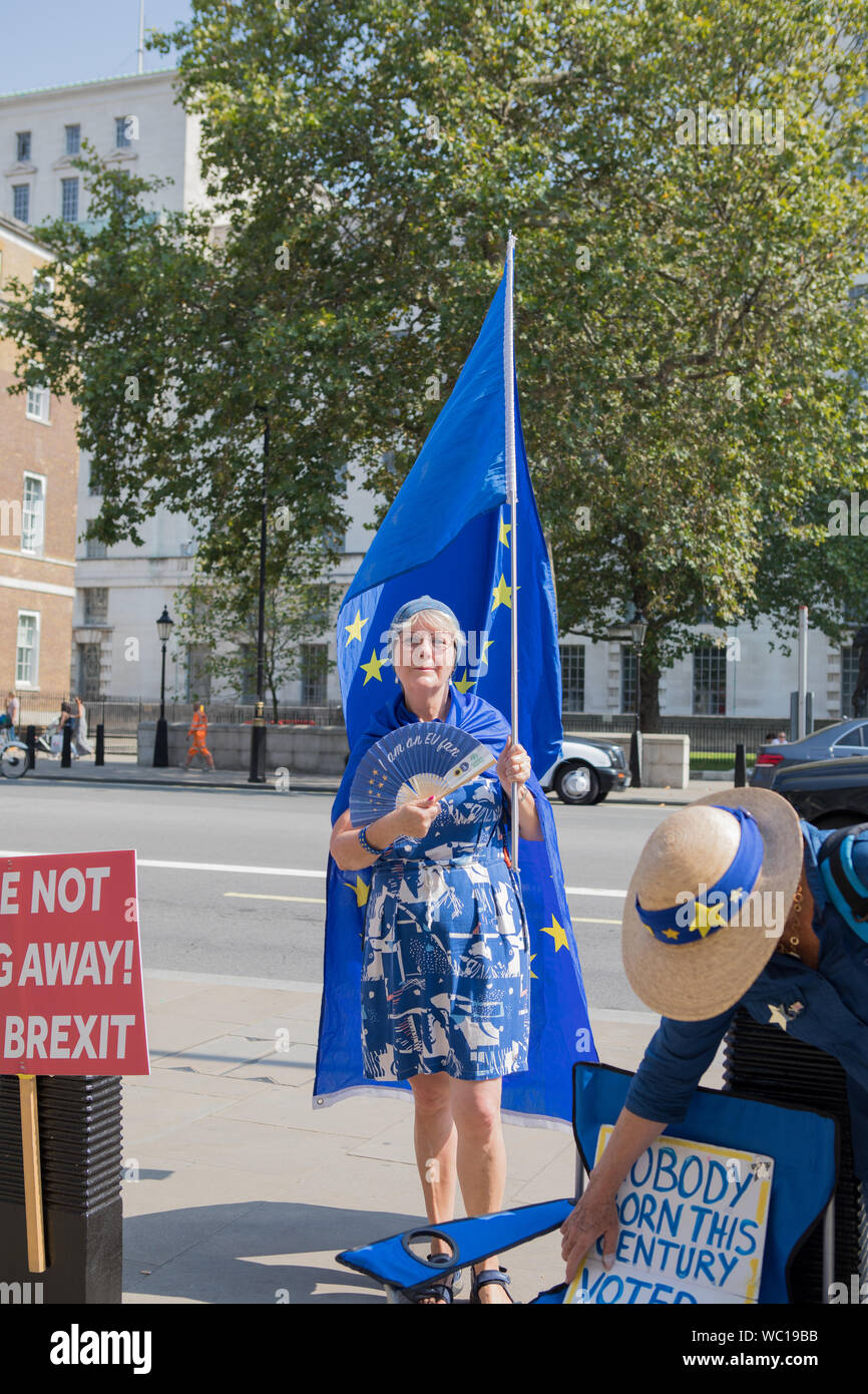 Westminster, London, Großbritannien. 29. August 2019. Pro-Europe Unterstützer in College Green gegen Boris Johnson die Entscheidung des Parlaments für mehr als vier Wochen im September und Oktober auszusetzen demonstrieren. Der Premierminister hat die Königin bat das Parlament zu vertagen. Stockfoto