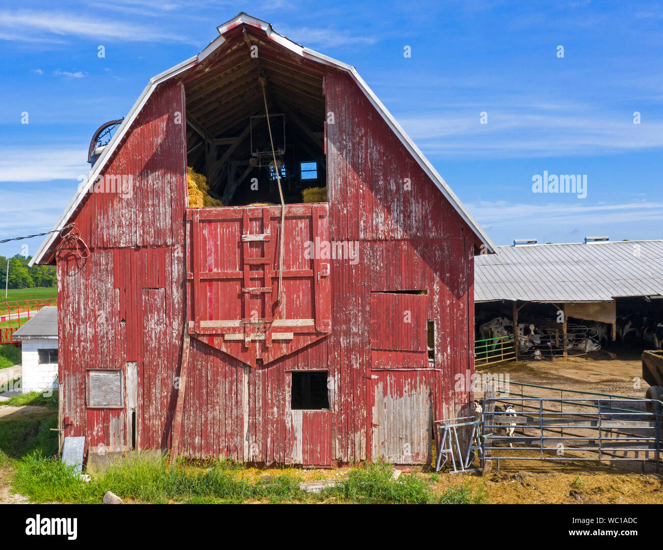Drei Eichen, Michigan - der Scheune auf einem kleinen, dritte Generation Dairy Farm. Kleine Molkereien kämpfen, um zu überleben. Der US-Agricultu Stockfoto