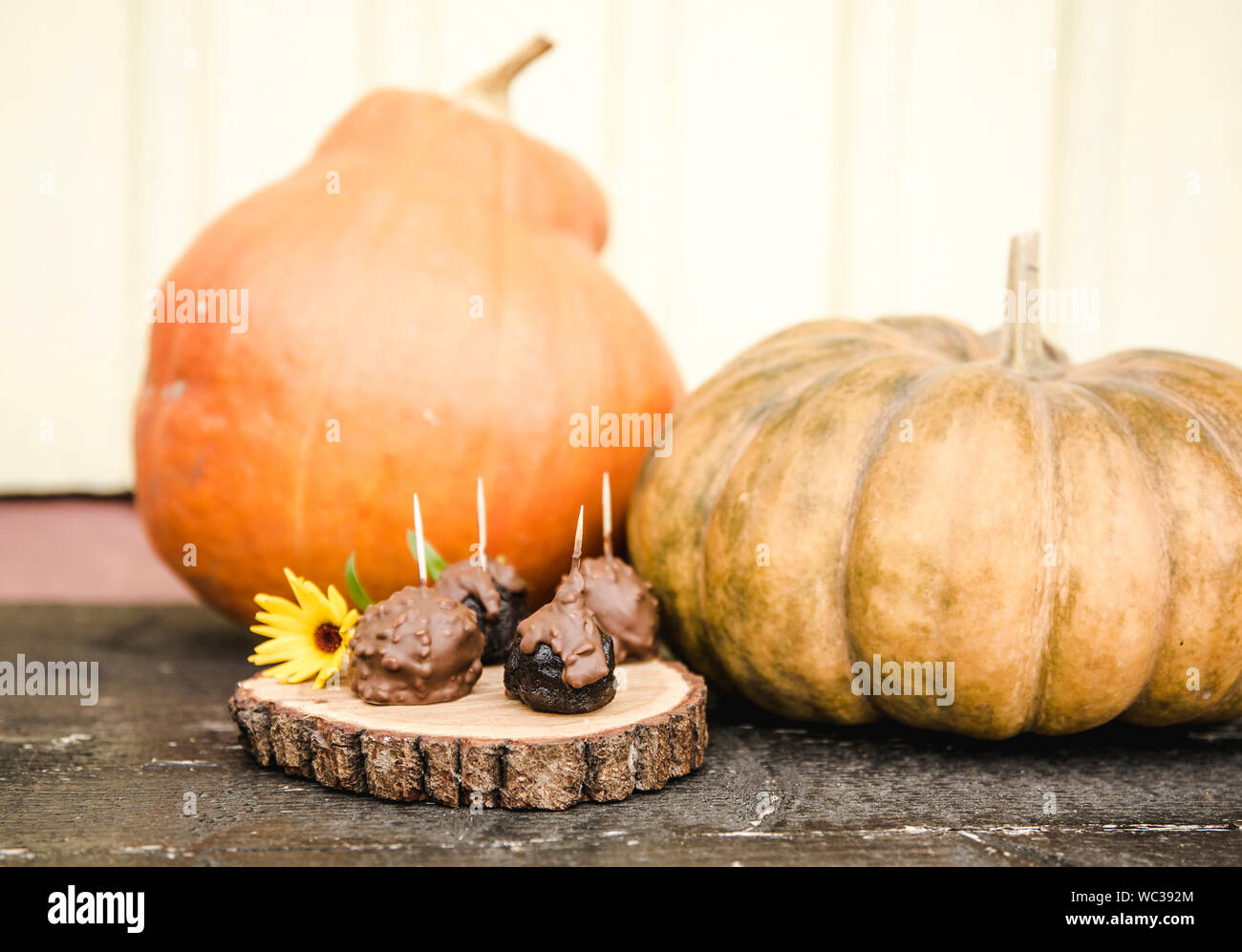 Selektiver Fokus auf handgefertigte Pralinen mit orangefarbenen Kürbisse auf dem Hintergrund im Herbst. Stockfoto