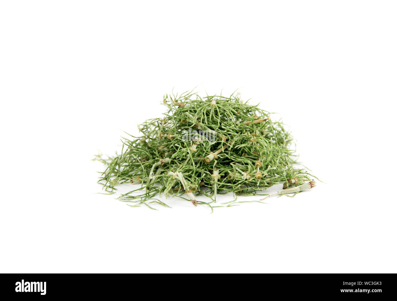 Stapel von getrockneten natürliche pflanzliche Heilmittel genannt Equisetum arvense Der ackerschachtelhalm oder zinnkraut isoliert auf Weiss. Stockfoto