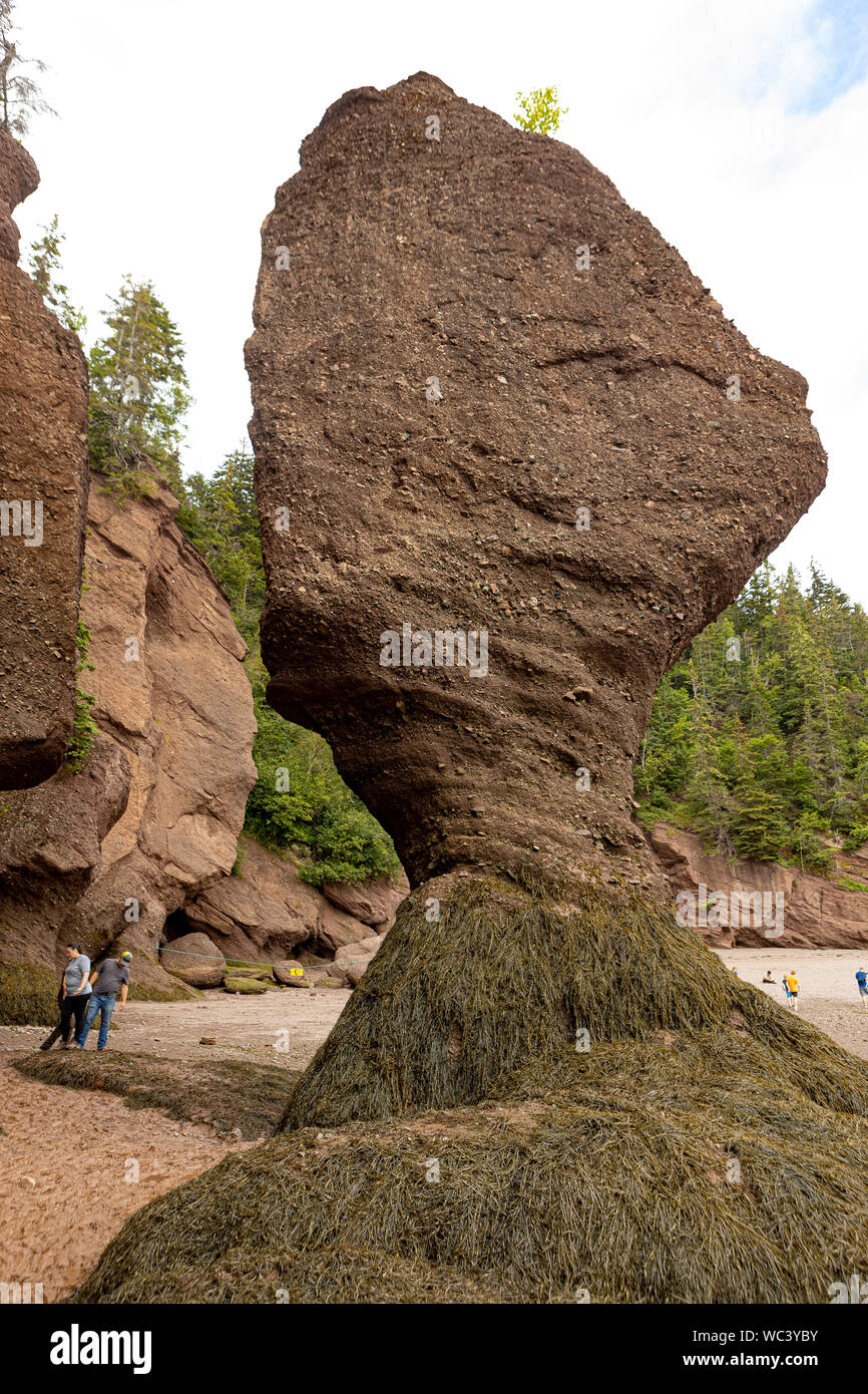 Menschen wandern von der Klippe von Hopewell Rocks Park, in der Bucht von Fundy, New Brunswick gelegen, Montag, August 19, 2019. Stockfoto