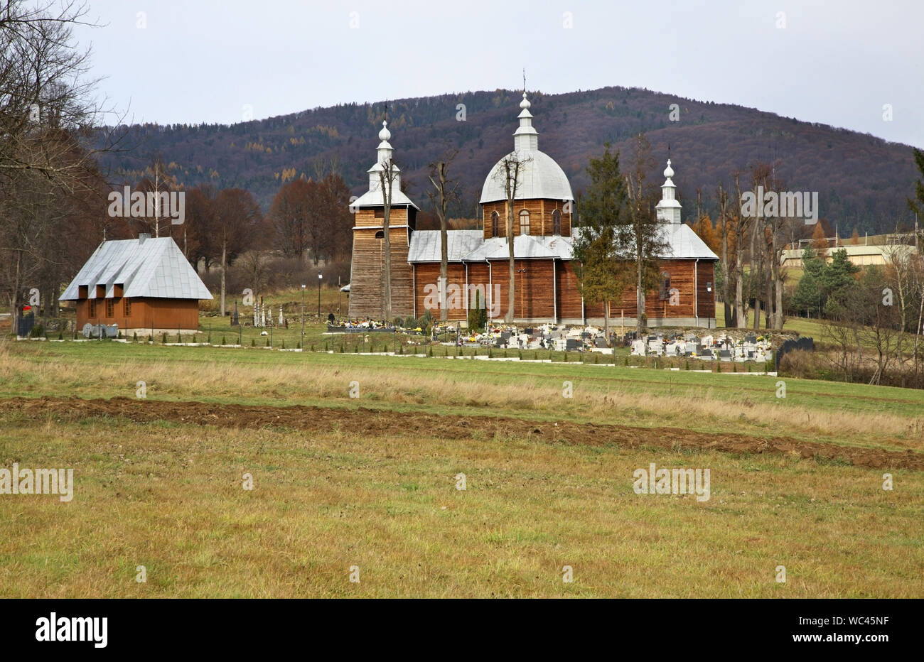 Kirche St. Ursula in Zlockie Dorf. Muszyna Bezirk. Polen Stockfoto