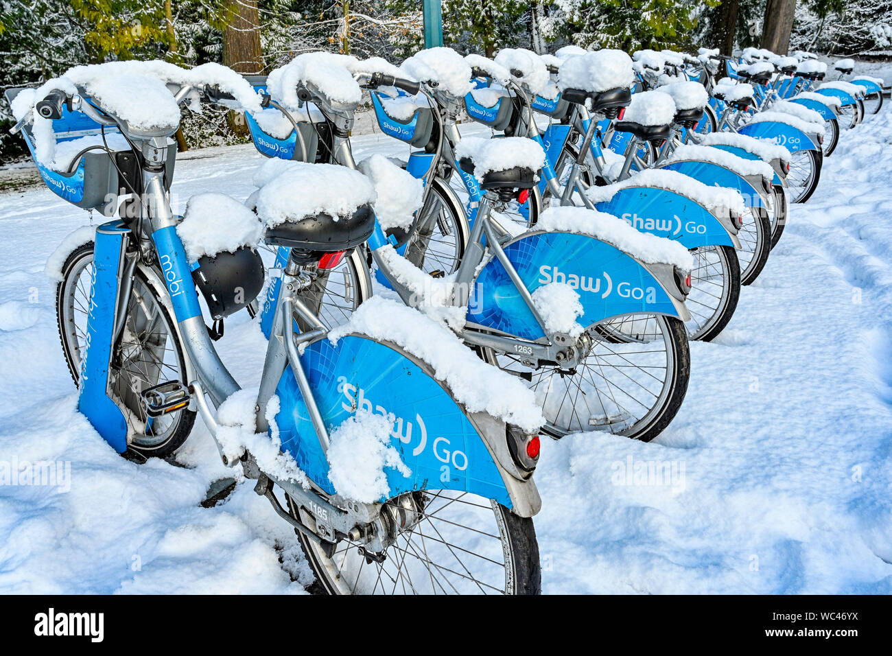 Schnee bedeckt Fahrräder, Mobi, Shaw gehen Fahrradverleih stehen, Vancouver, British Columbia, Kanada, Stockfoto