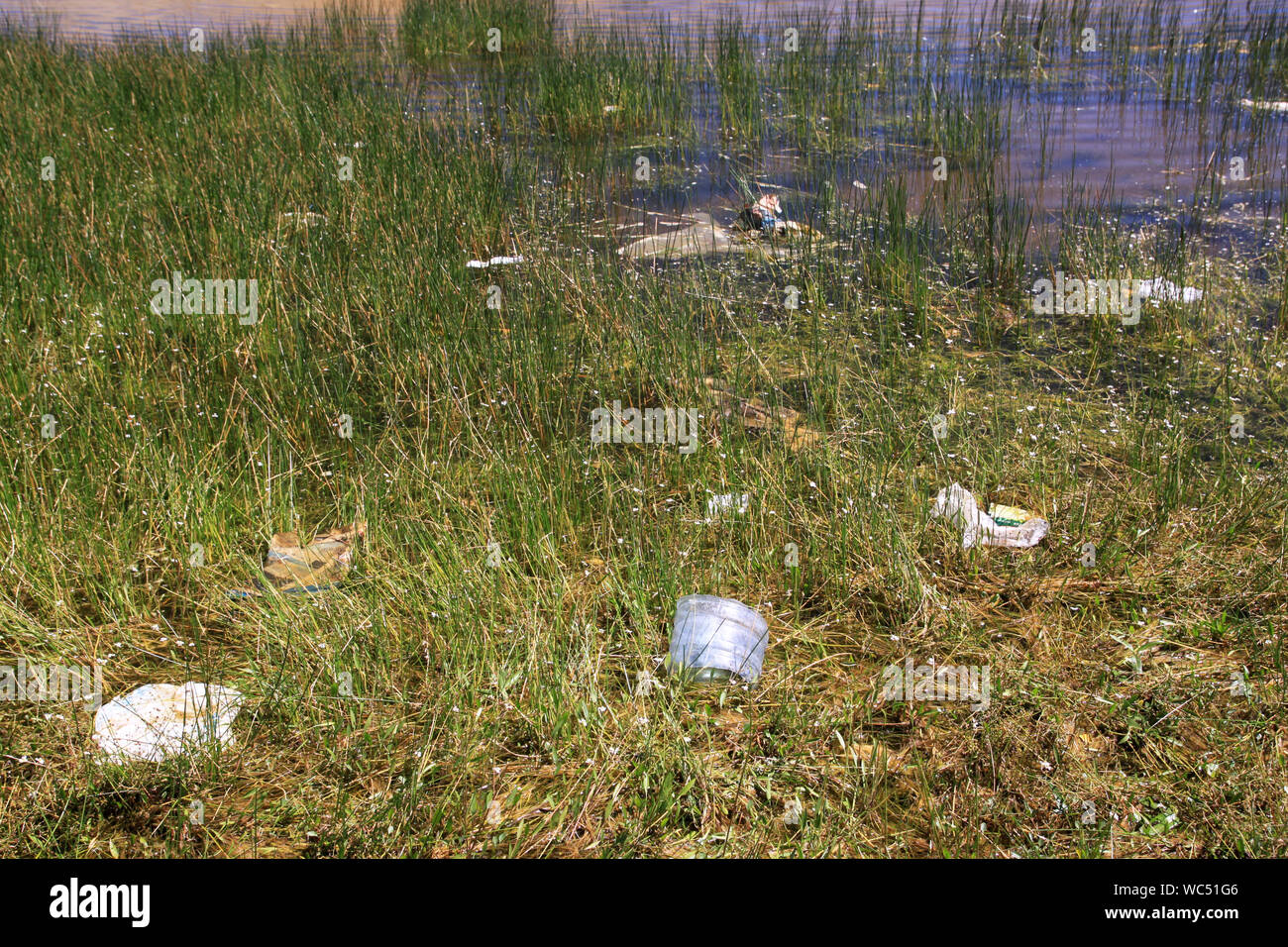 Wasserverschmutzung in einem See Stockfoto