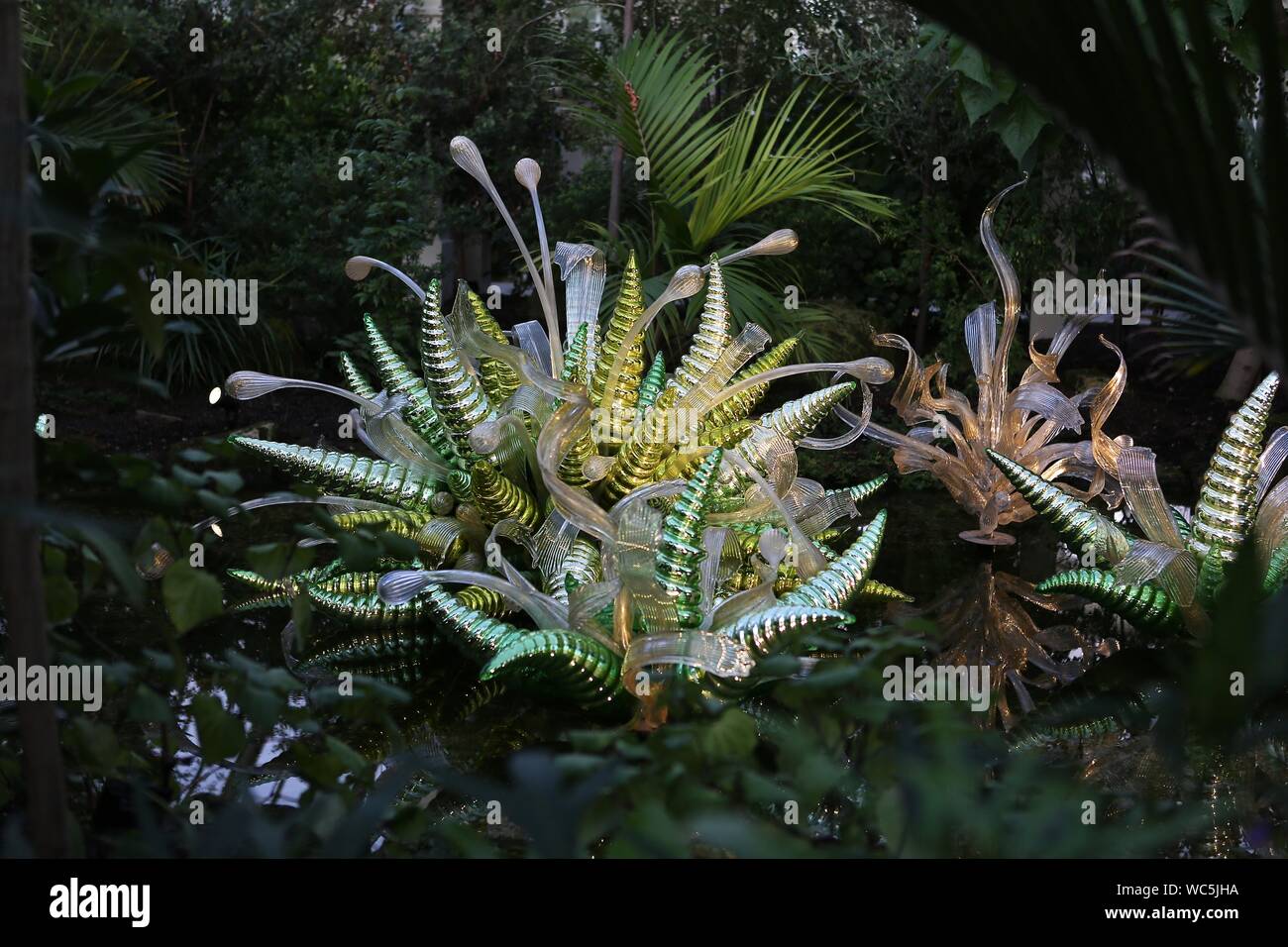 Chihuly in Kew Gardens, London Dale Chihuly, die gefeierte uns Glas Künstler, in Kew Gardens vor 13 Jahren ausgestellt. Es war seine neuesten, wichtigsten Outdoor in Europa - und einer der beliebtesten Ausstellungen immer bei Kew statt. Jetzt ist er zurück mit Chihuly: Reflexionen über die Natur - 32 schillernde Installationen, einschließlich seiner Sapphire Star, die Seaforms Serie und eine neue Arbeit, die speziell für den Gemäßigten Haus, das vor Kurzem nach £ 41 m Restaurierung wiedereröffnet. Von August, die Gärten, die bis spät in die Nacht geöffnet für ausgewählte Chihuly Nächte, wenn die Kunstwerke beleuchtet wird und Musik gesetzt werden. Stockfoto