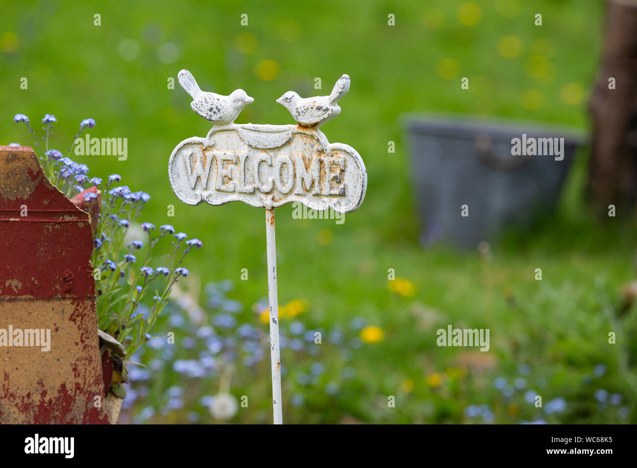 Willkommen Anmelden Garten mit gebrochenen chimney pot und Vergißmeinnicht Blumen Stockfoto