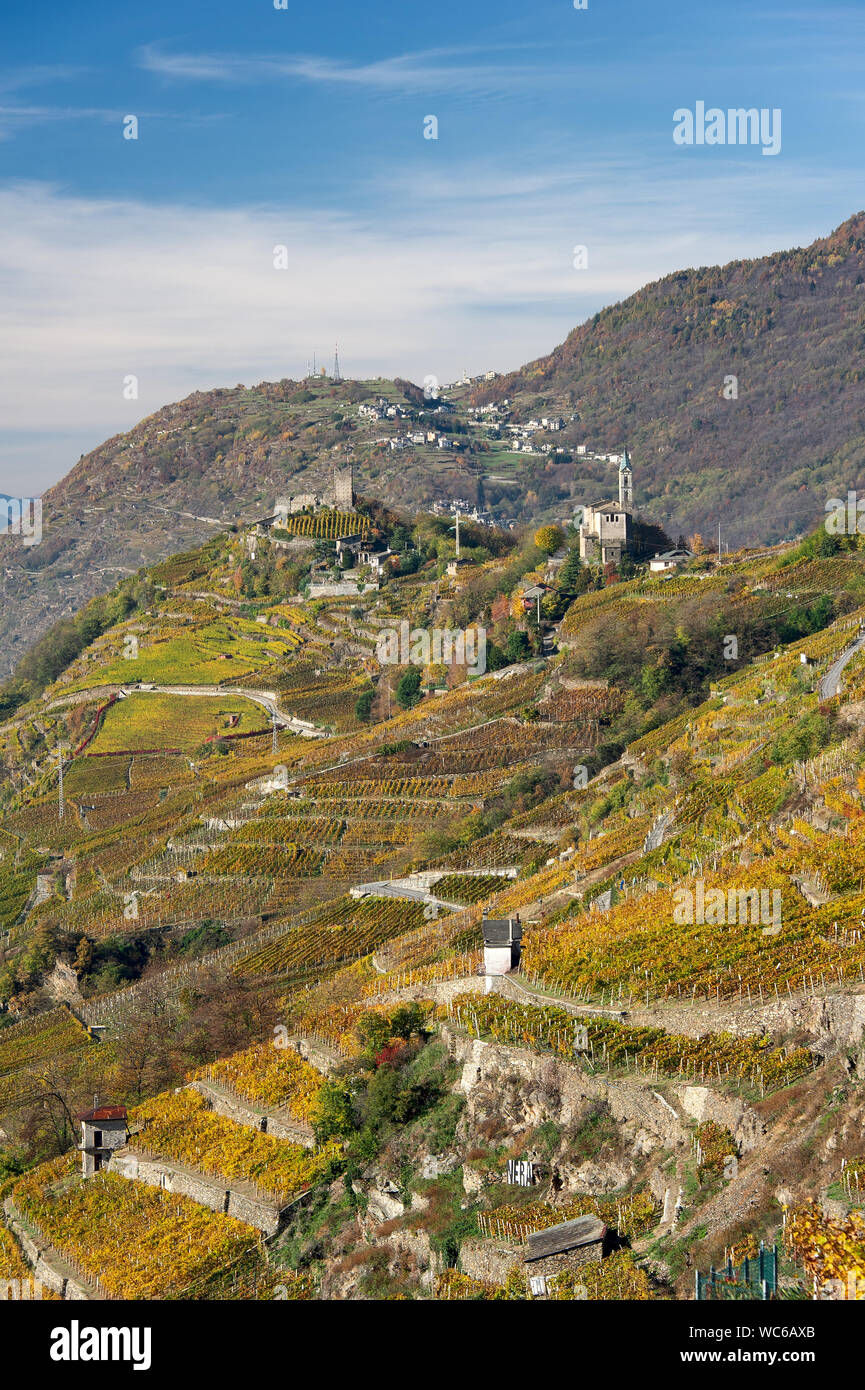 Sondrio, Valtellina, Italien: terrassierten Weinbergen in der typischen Bereich der Grumello im Herbst Stockfoto