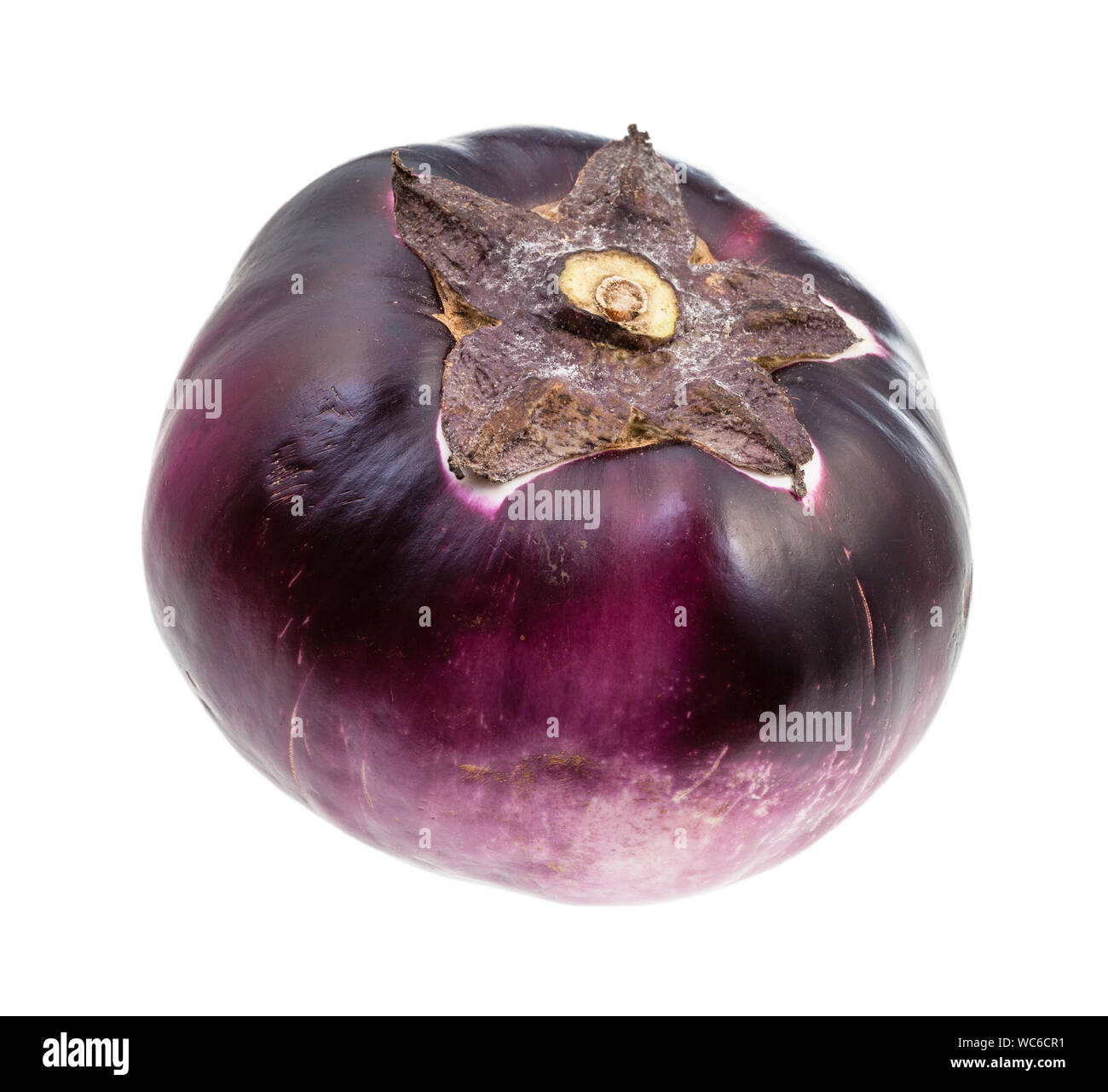 Single Reif Dunkel Violett Aubergine Auf Weissem Hintergrund