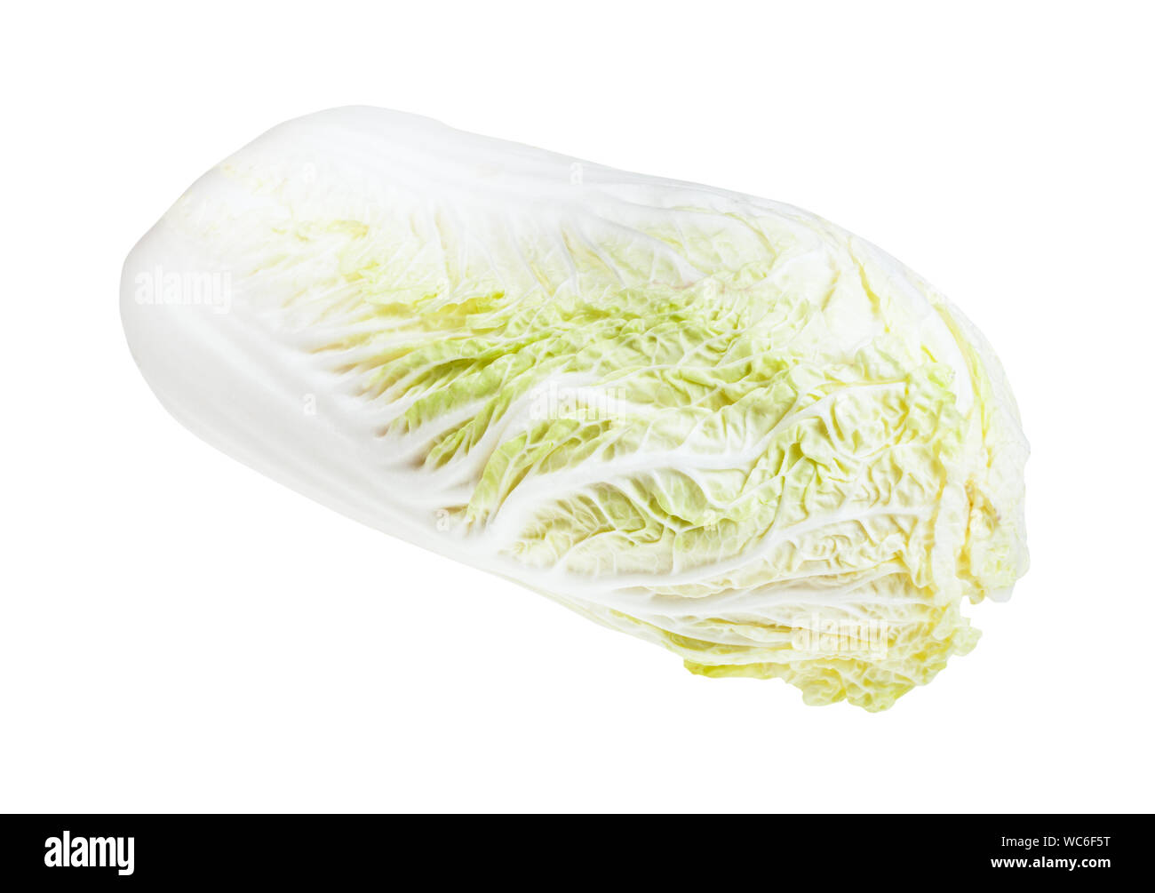 Leiter der Napa cabbage auf weißem Hintergrund Stockfoto
