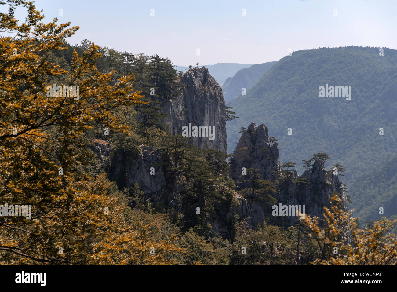 Serbien - Berg Tara Landschaft Stockfoto