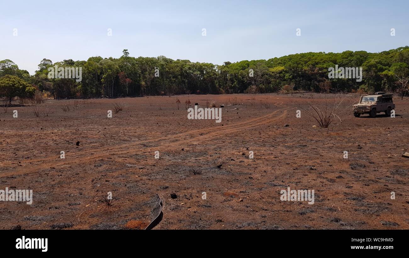 Ground Zero, Operation Blowdown Site, Iron Range National APrk, Cape York, Queensland, Ort des simulierten Nukleartests im Dschungel 1963 Stockfoto