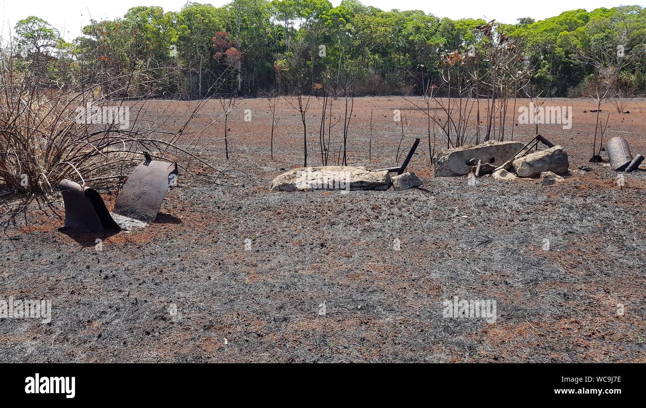 Ground Zero, Operation Blowdown Site, Iron Range National APrk, Cape York, Queensland, Ort des simulierten Nukleartests im Dschungel 1963 Stockfoto
