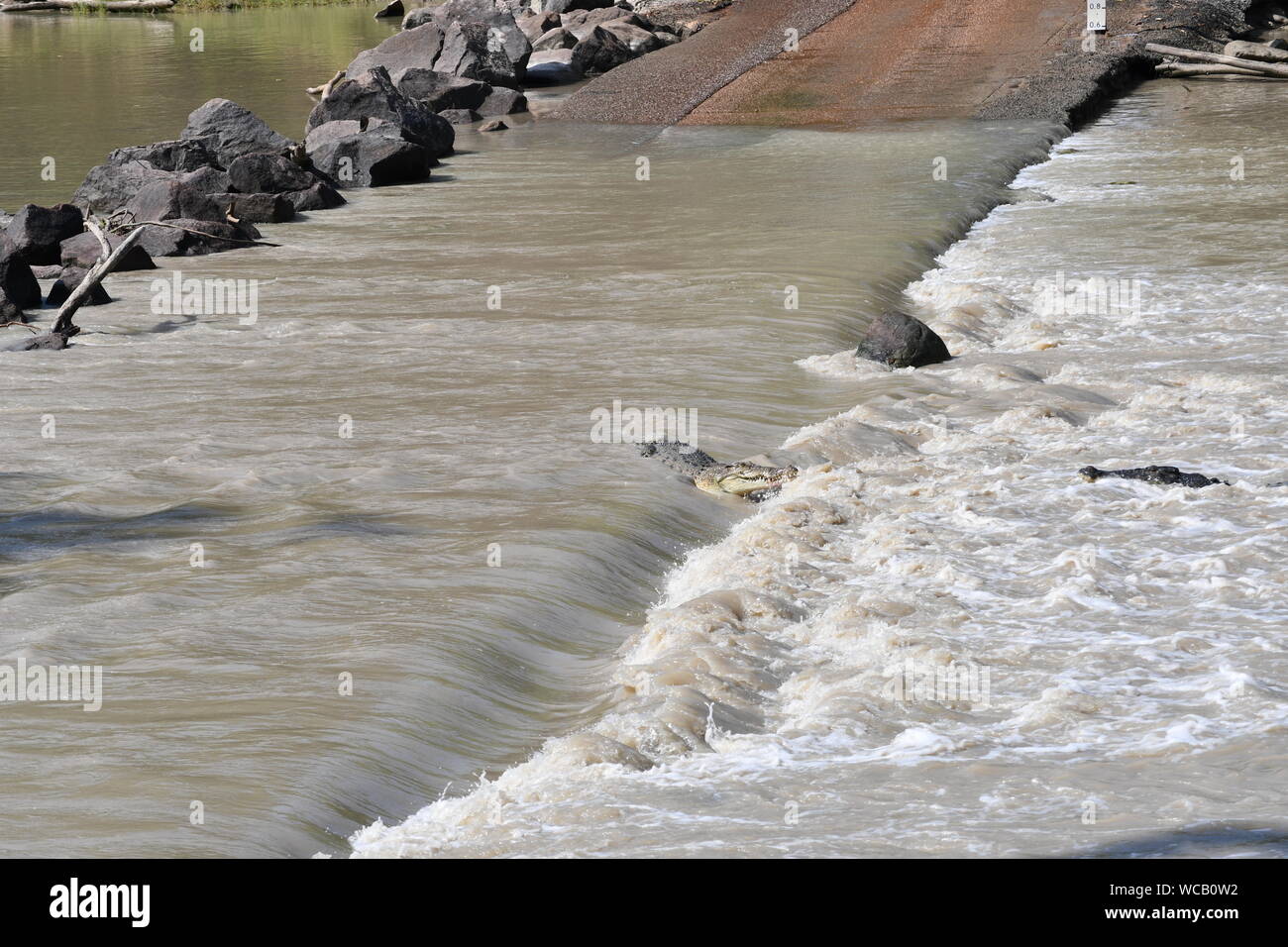 Krokodilkampf, Cahill's Crossing, Arnhem Land, Northern Territory Stockfoto