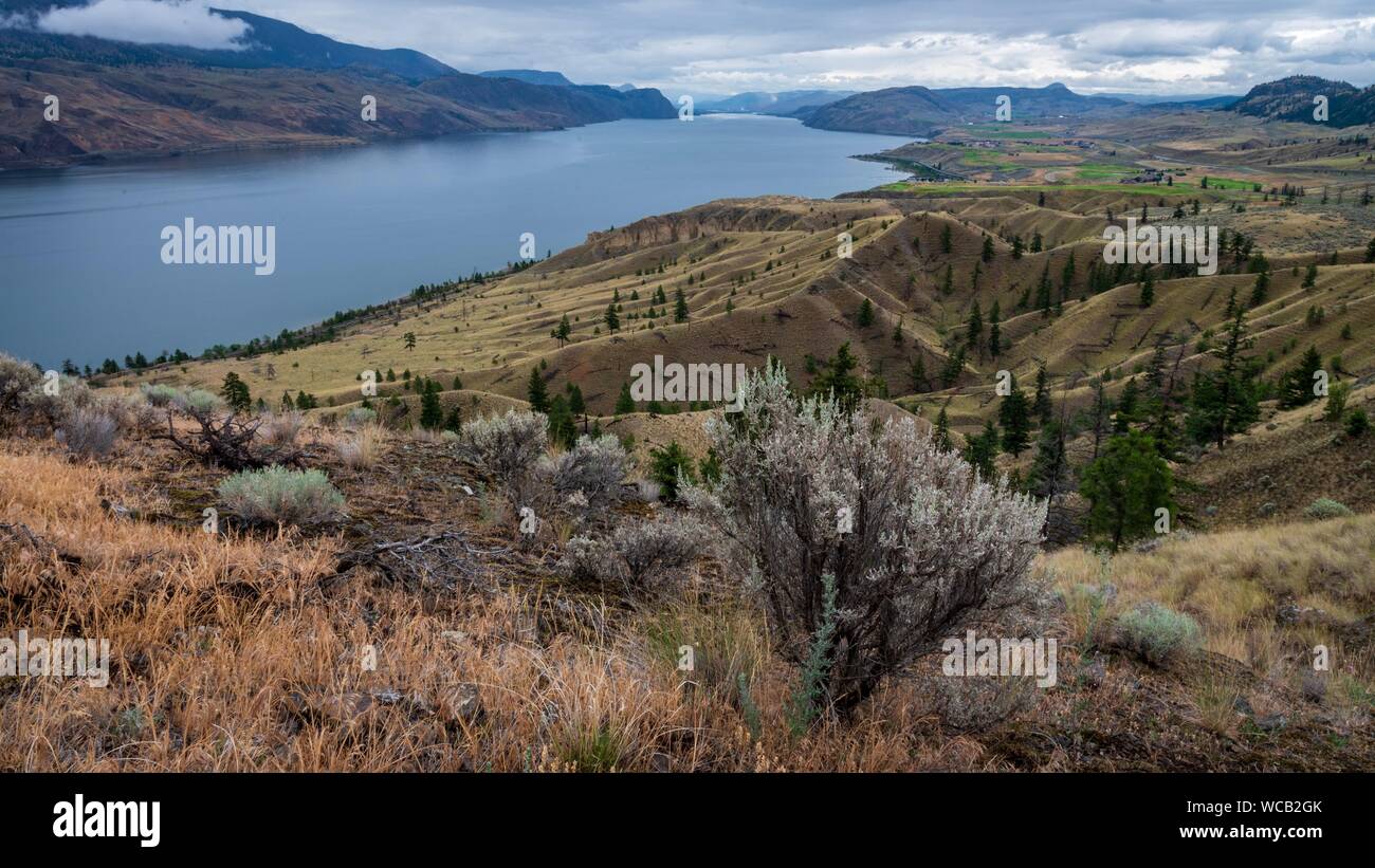 Blick über Kamloops Lake, British Columbia, Kanada vom Aussichtspunkt am Straßenrand. Stockfoto