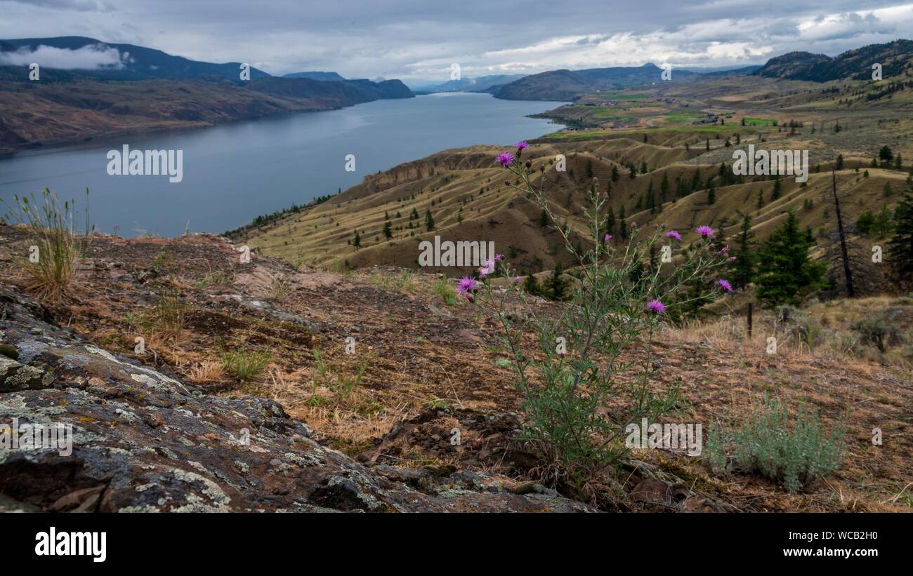Blick über Kamloops Lake, British Columbia, Kanada vom Aussichtspunkt am Straßenrand. Stockfoto