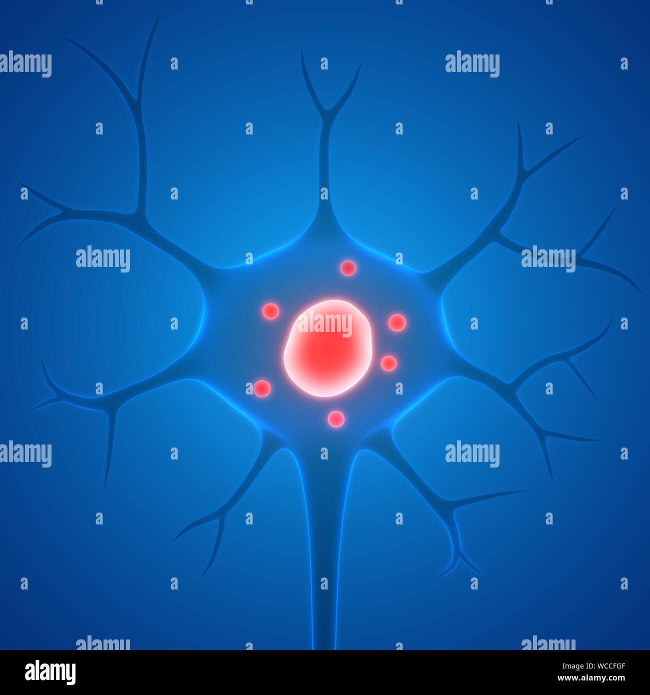 Anatomie Der Menschlichen Neuronenzellen Stockfoto