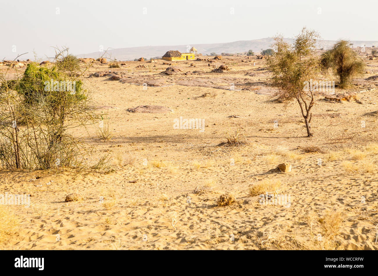 Die Landschaft außerhalb von Jaisalmer in der Thar Wüste von Rajasthan, Indien. Stockfoto