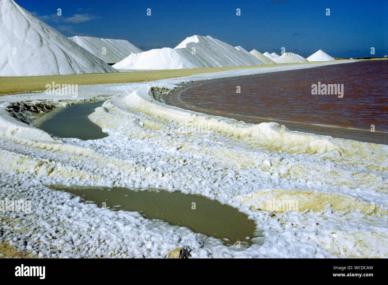 Salinen Bonaire, Salzbergwerk, natürliche Verdunstung von Sonne und Wind, das Salz in der Salz Betten, Bonaire, Niederländische Antillen kristallisiert Stockfoto