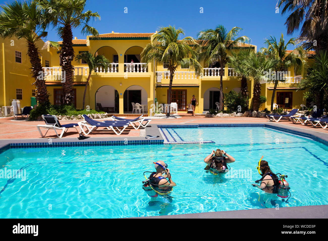 Scuba Diver, Tauchen im Pool, Buddy Dive Resort, Bonaire, Niederländische Antillen Stockfoto