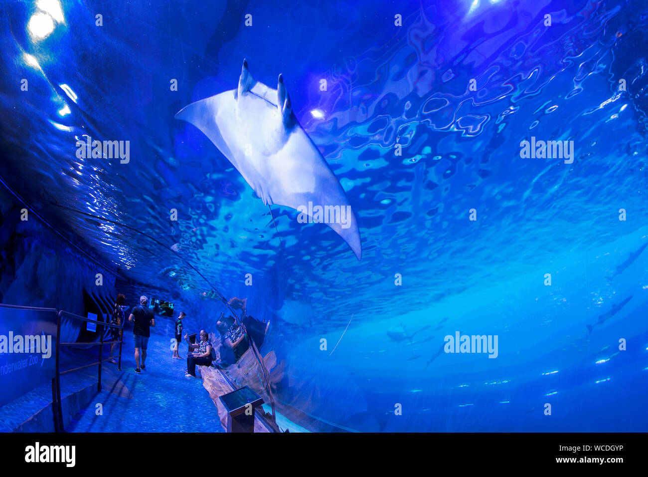 Das Bild Von Dubai Aquarium In Der Dubai Mall VAE Stockfotografie Alamy