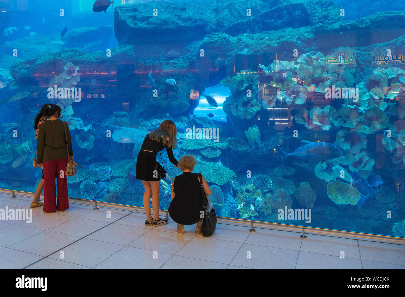 Das Bild von Aquarium in der Dubai Mall, VAE Stockfoto
