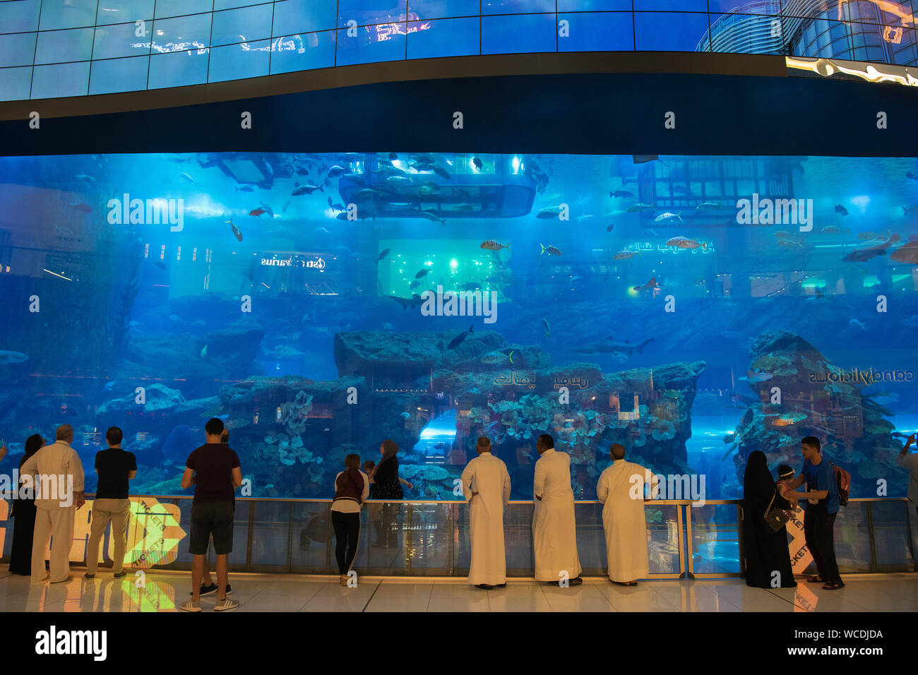Das Bild Von Tourist Am Aquarium In Der Dubai Mall VAE Stockfotografie
