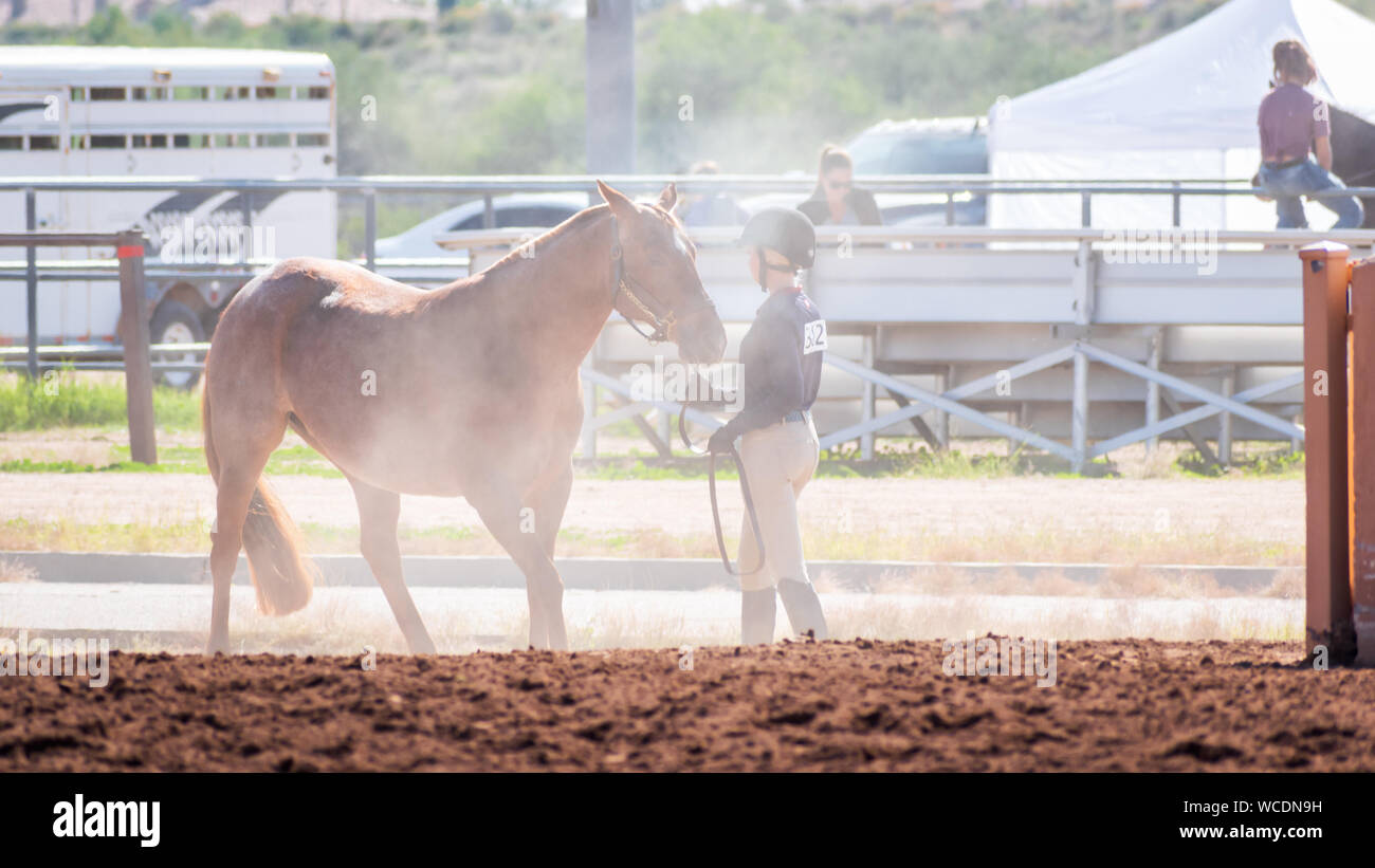 Ein Mädchen, das Pferd Für den Reiter warten Ihr Pferd an einer Konkurrenz zu zeigen. Phoenix, Arizona. Stockfoto