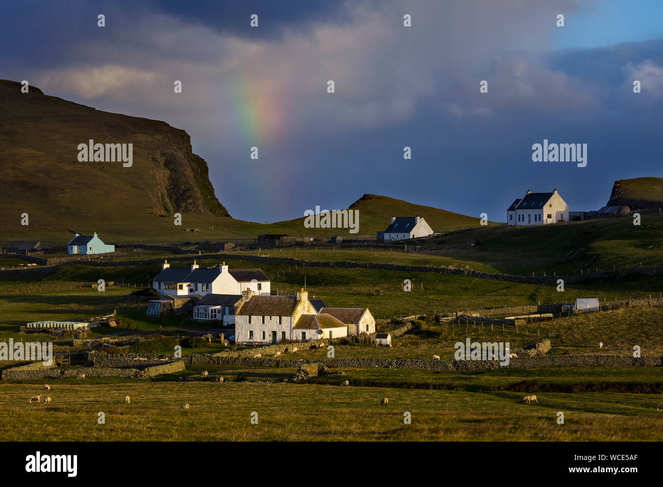 Fair Isle, Shetland, Großbritannien Stockfoto