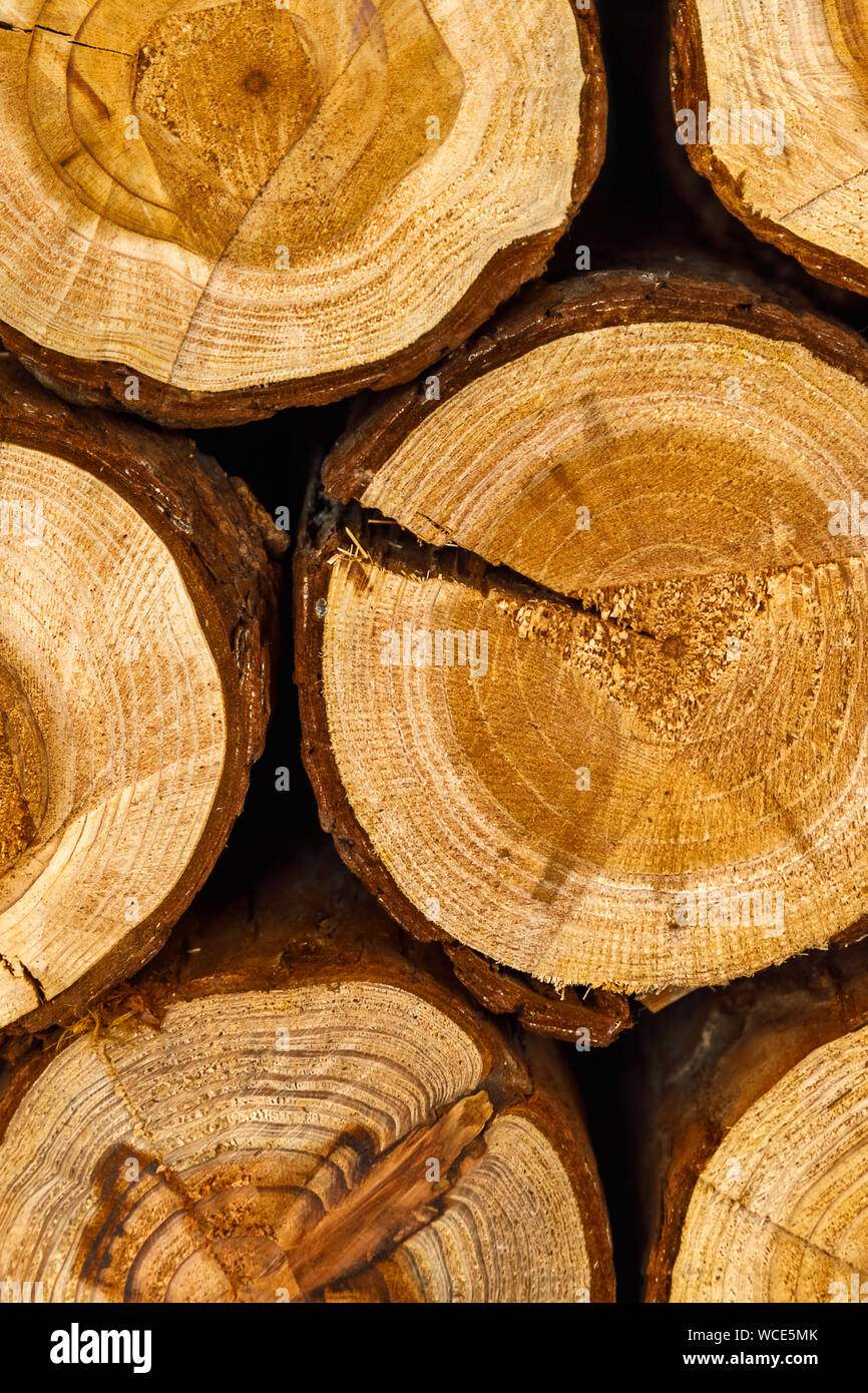 Gehackte closeup Brennholz. Natürliche Holz- braunen Hintergrund. Stockfoto