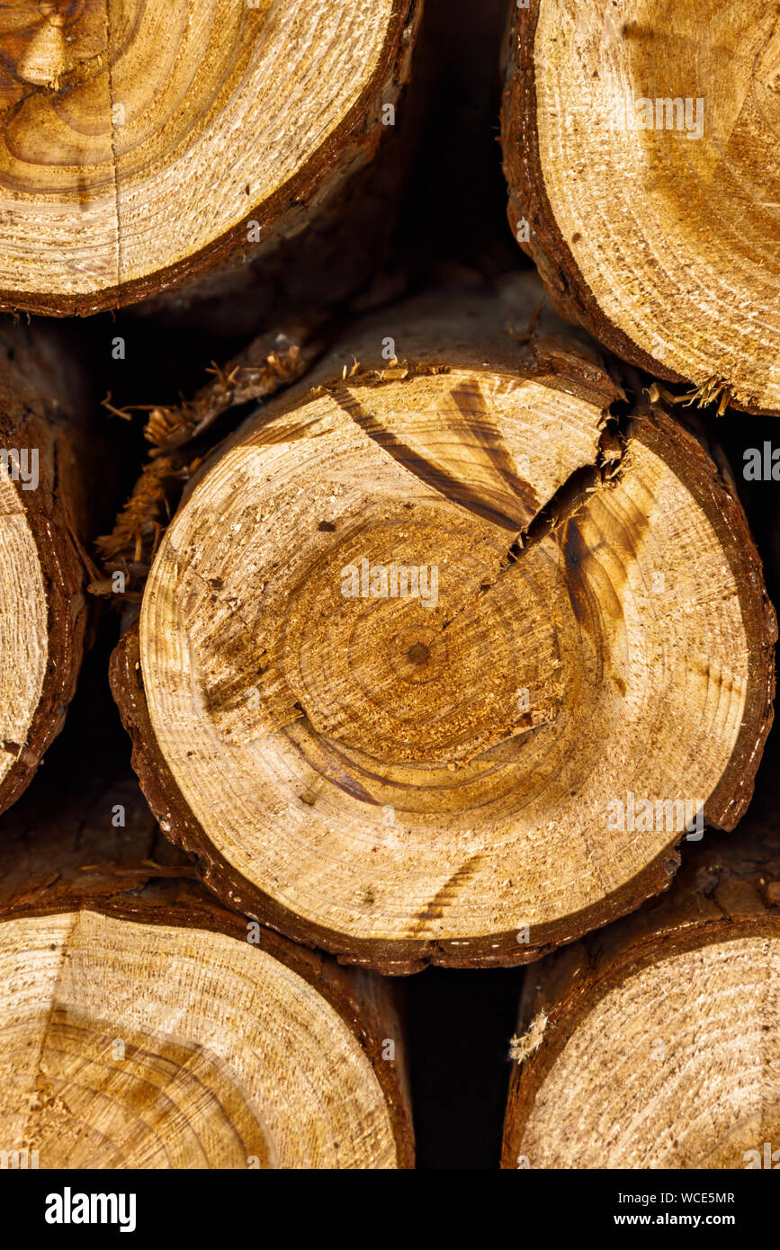 Gehackte closeup Brennholz. Natürliche Holz- braunen Hintergrund. Stockfoto
