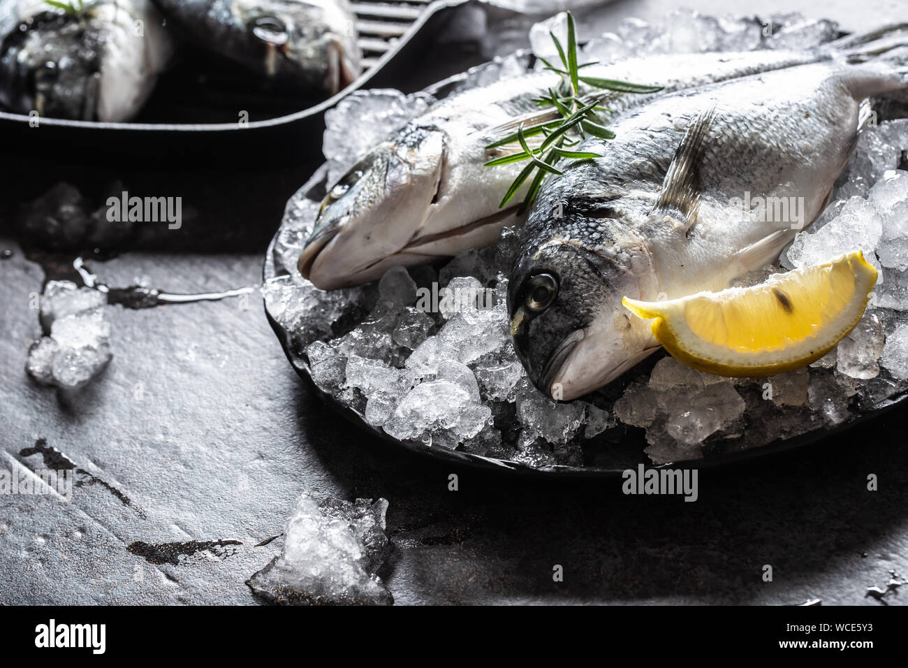 Rohen fisch Goldbrasse in Eis mit Rosmarin und Zitrone Stockfoto