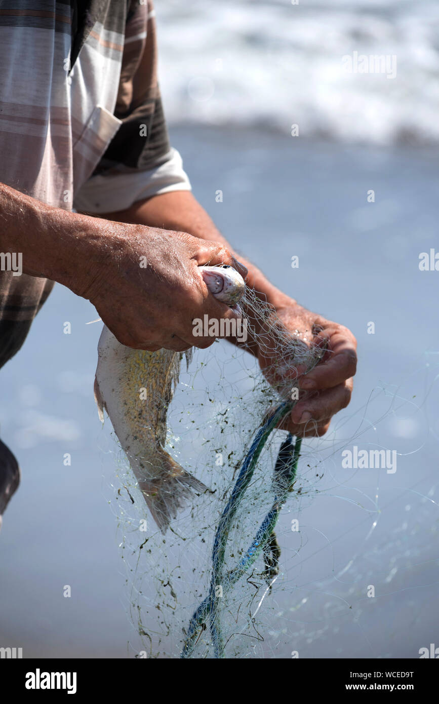 Nahaufnahme eines türkischen Fisherman entfernen einen Fisch aus dem Netz. Türkei Stockfoto