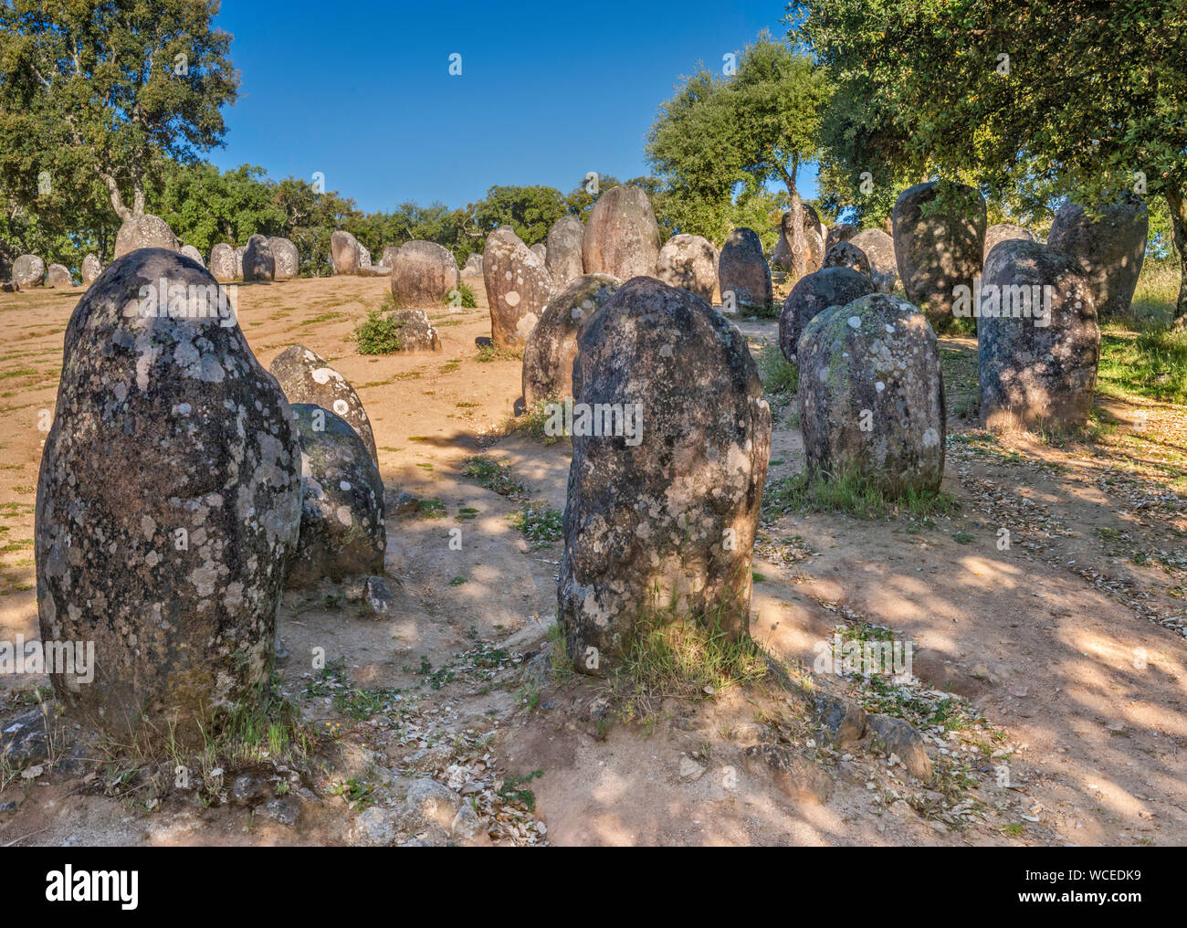 Cromeleque dos Almendres, Almendres Cromlech, Steinkreis, megalithischen Denkmal 6 bis vor 7000 Jahren, in der Nähe von Évora, Alentejo Central, Portugal Stockfoto