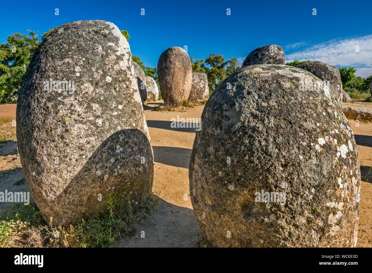 Cromeleque dos Almendres, Almendres Cromlech, Steinkreis, megalithischen Denkmal 6 bis vor 7000 Jahren, in der Nähe von Évora, Alentejo Central, Portugal Stockfoto