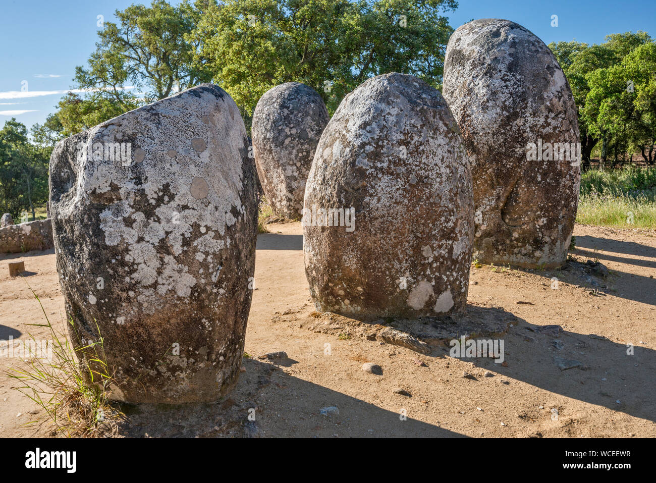 Cromeleque dos Almendres, Almendres Cromlech, Steinkreis, megalithischen Denkmal 6 bis vor 7000 Jahren, in der Nähe von Évora, Alentejo Central, Portugal Stockfoto