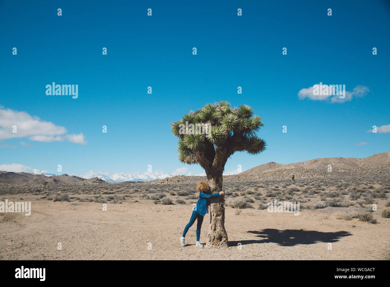 Volle Länge von einer Frau umarmt Baum im Death Valley National Park gegen Sky Stockfoto