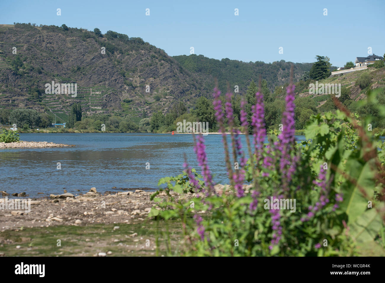 Mosel, Deutschland Stockfoto