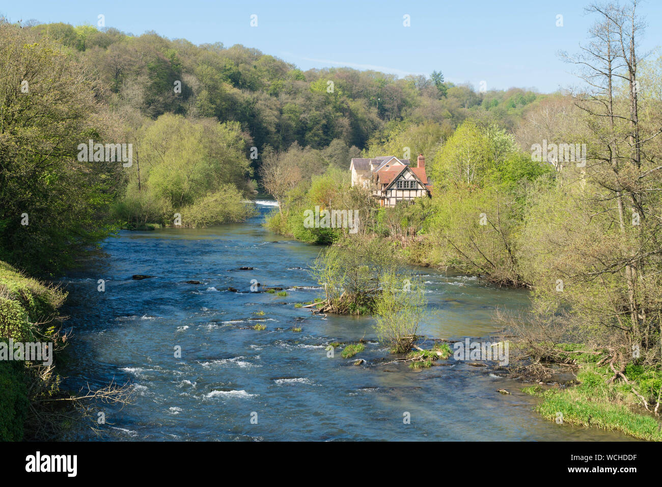 Timber framed Hotel im Wald am Ufer des Flusses Haus, Ludlow Großbritannien eingestellt. April 2019 Stockfoto