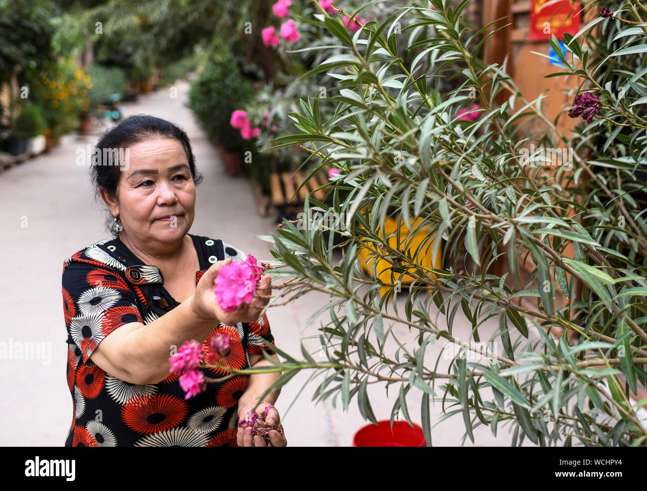 (190828) - KASHGAR, Aug 28, 2019 (Xinhua) - salima Sultan prüft das Wachstum der Blüten vor ihrem Haus im Dorf Qianjin in Kashgar, Nordwesten Chinas Autonome Region Xinjiang Uygur, Aug 18., 2019. Wohnungen von duftenden Blüten im Überfluss umgeben, übersichtliche Häuser und Gassen von einem gepflegten Erscheinungsbild, verschiedene Bäume entlang der Straßen, wo die Kinder sich genießen, die pastorale Szene überall in Qianjin Dorf gesehen werden kann. Die idyllische Schönheit in Qianjin Dorf leitet sich aus seiner boomenden Wirtschaft, in der Blume Salima Sultan ist ein Pionier. Salima, eine 60-jährige Vil Stockfoto