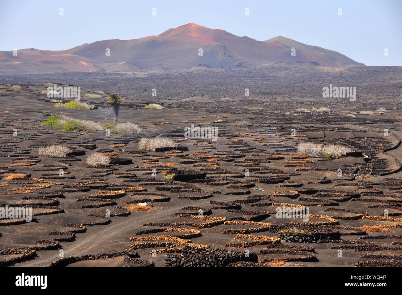 Karge Vulkanlandschaft auf der spanischen Kanareninsel Lanzarote Stockfoto