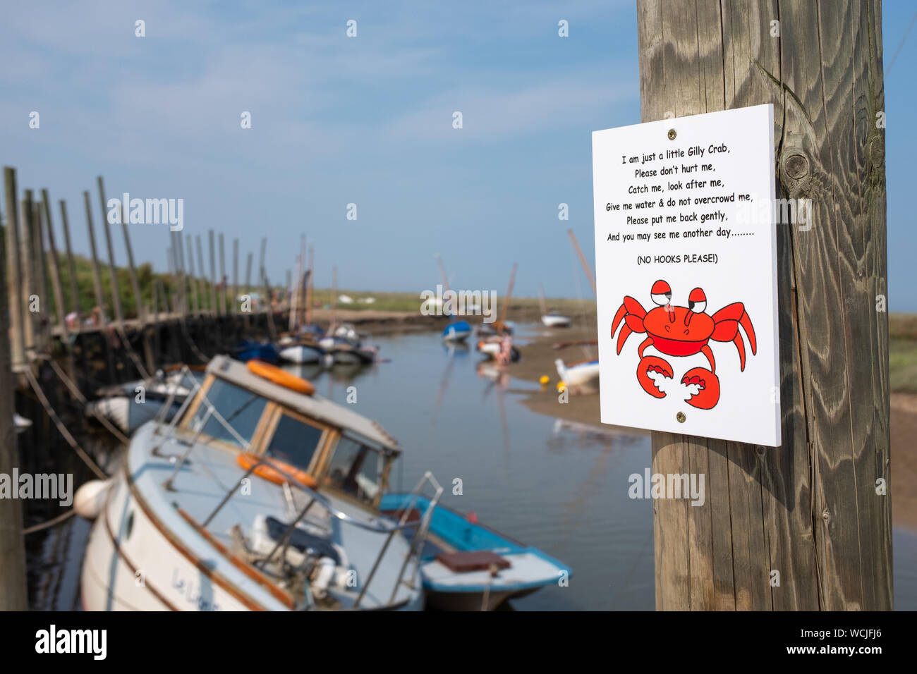 Krabben, hölzernen Pfosten im Blakeney, Norfolk, England, UK genagelt Stockfoto