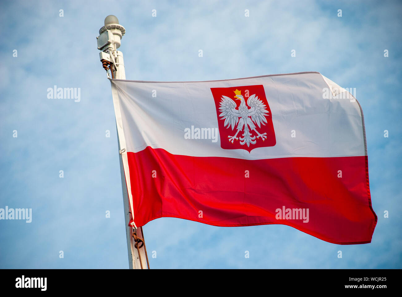 Flagge Polens winken im Wind Stockfoto