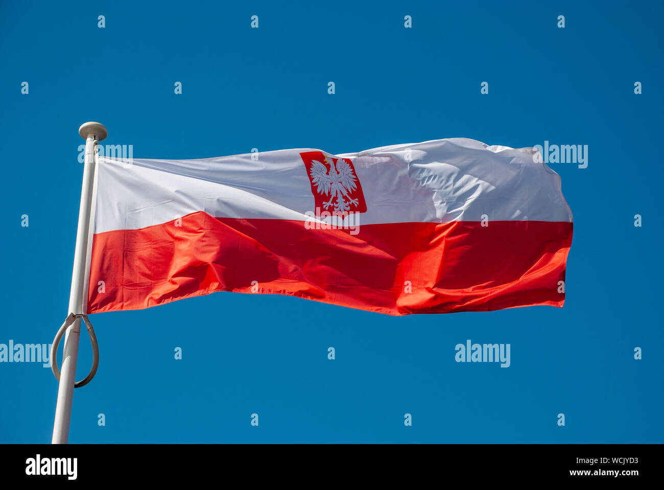 Flagge Polens winken im Wind Stockfoto