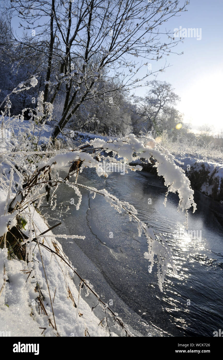 Schnee in Cuerden Valley Park Stockfoto