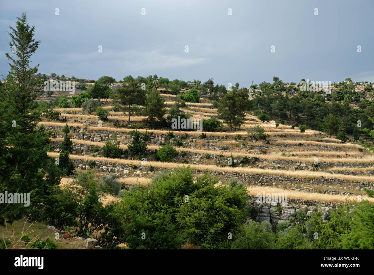 Hochland von Manavgat Stadtteil von Antalya. Stockfoto