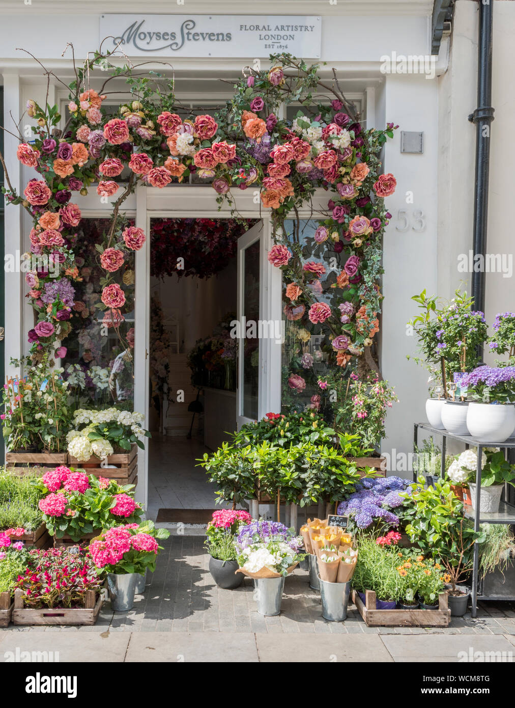 Blumenschmuck auf Fassaden für Chelsea in der Blüte, London, UK Stockfoto
