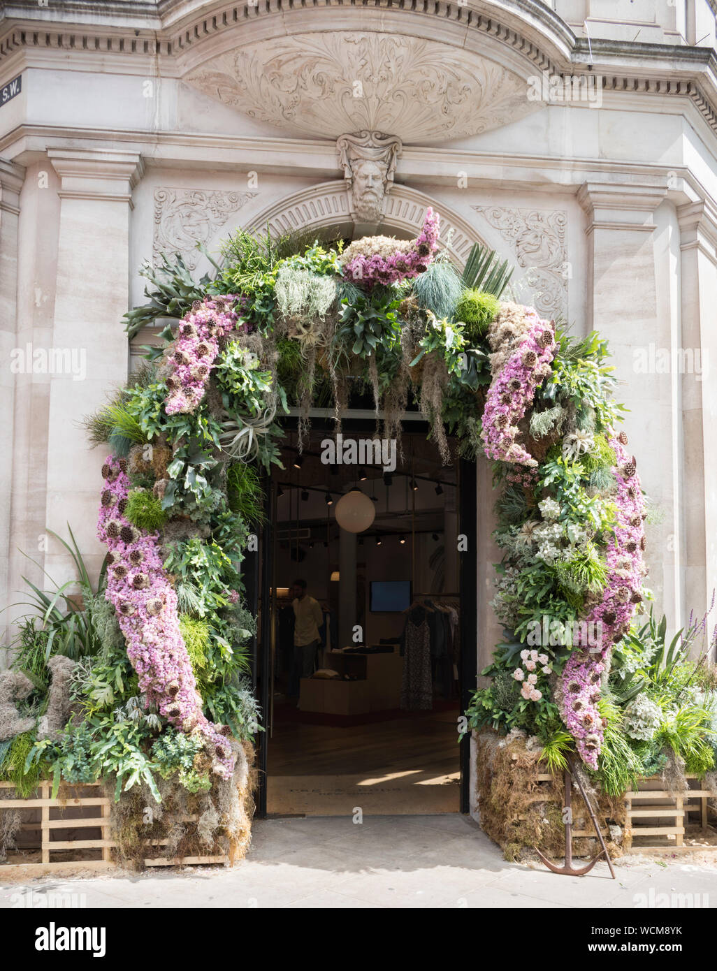 Blumenschmuck auf Fassaden für Chelsea in der Blüte, London, UK Stockfoto