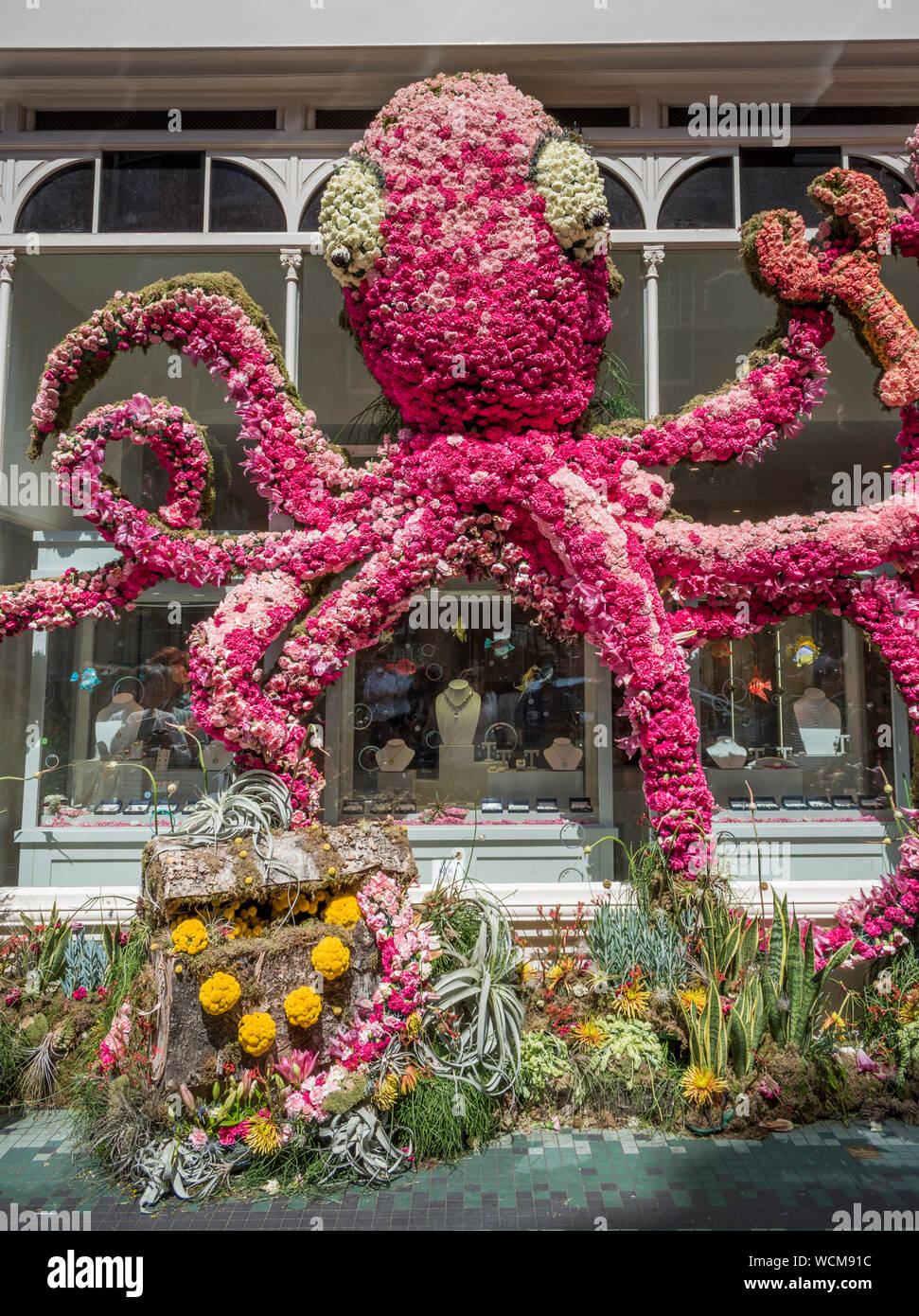 Blumenschmuck auf Fassaden für Chelsea in der Blüte, London, UK Stockfoto